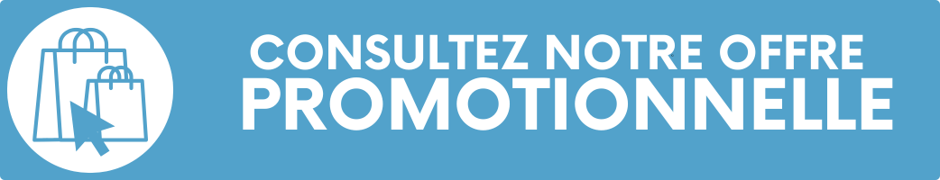 RENAULT / DACIA COFFRE DE TOIT ET BARRES OFFERTES
