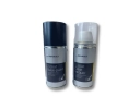 Bombe et Vernis Retouche Peinture - Renault