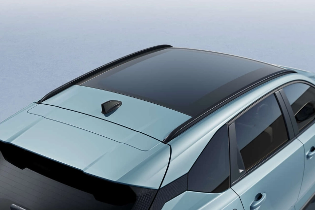 DACIA – Antenne Requin - Dacia STRIKER