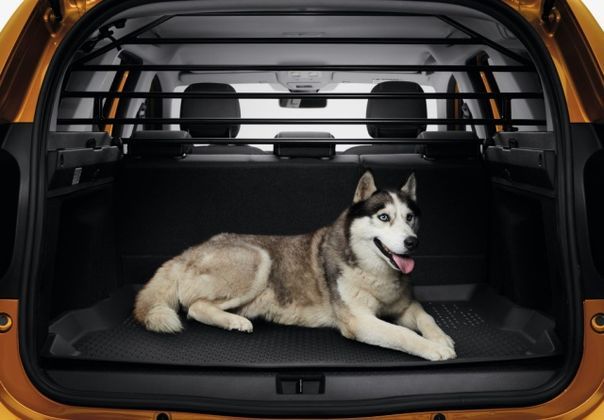 Grille de coffre de véhicule pour chien - achat de grille et cloison pour  véhicule chien et animaux